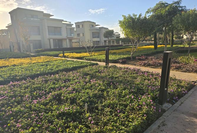 8559339 - Property Image 3