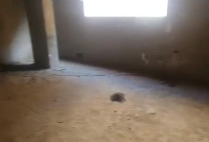 8475357 - صورة العقار 2