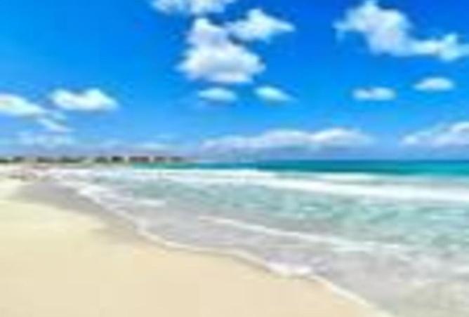 8000221 - صورة العقار 2