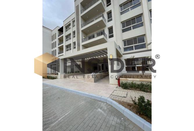 7991436 - صورة العقار 3
