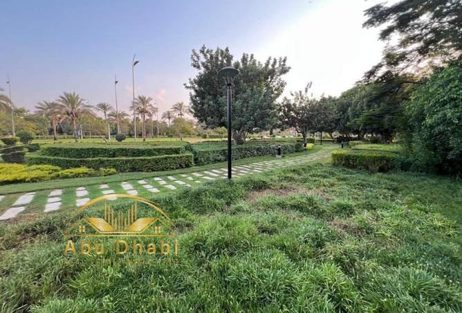 8010310 - صورة العقار 2