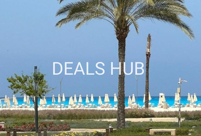 8163767 - Property Image 3