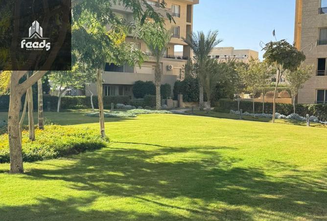 8119765 - صورة العقار 2
