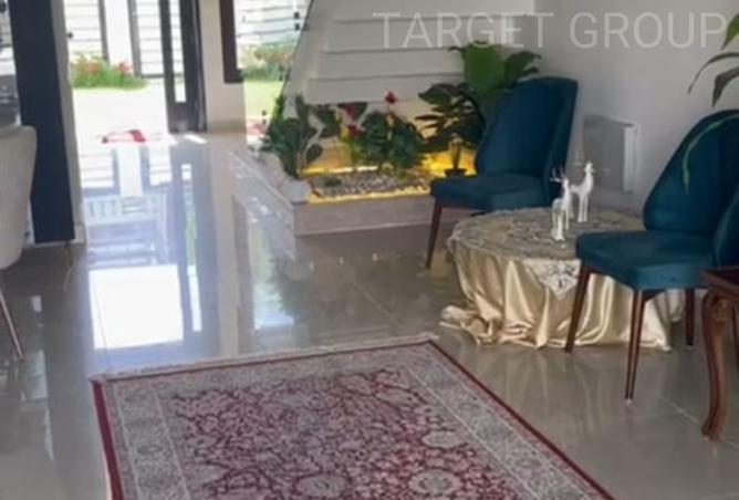 7937437 - Property Image 3