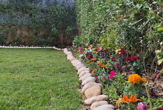 8493700 - صورة العقار 3