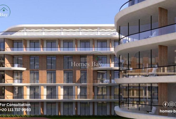 8251232 - Property Image 3