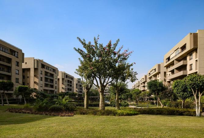 8313304 - صورة العقار 3