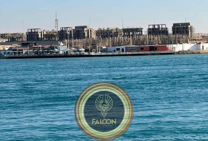 8405819 - صورة العقار 3