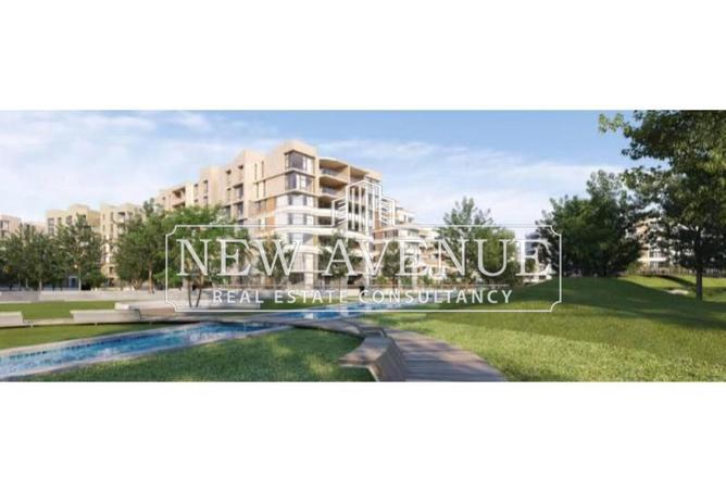 8143202 - Property Image 3