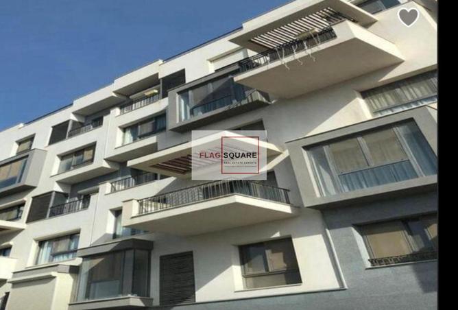 8439916 - Property Image 3