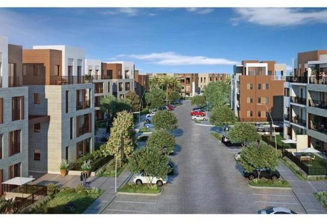 8260827 - Property Image 3