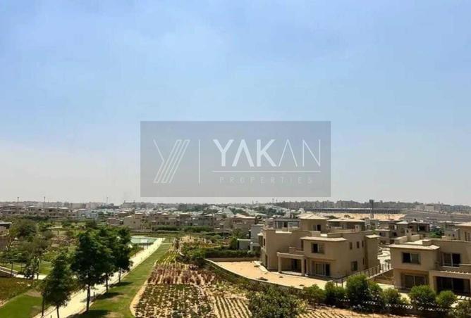 8503795 - صورة العقار 3