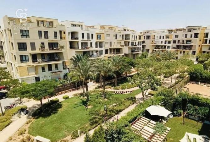 8248787 - Property Image 2