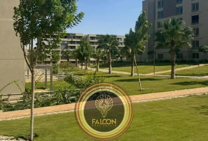 8402194 - صورة العقار 3