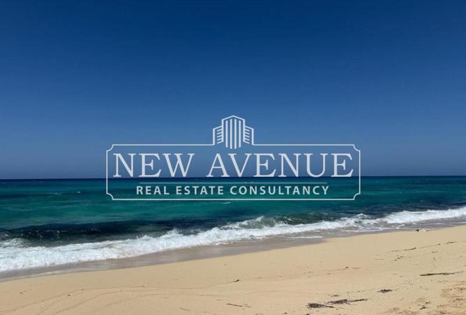 8193032 - Property Image 2