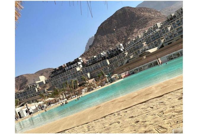 8467376 - صورة العقار 2