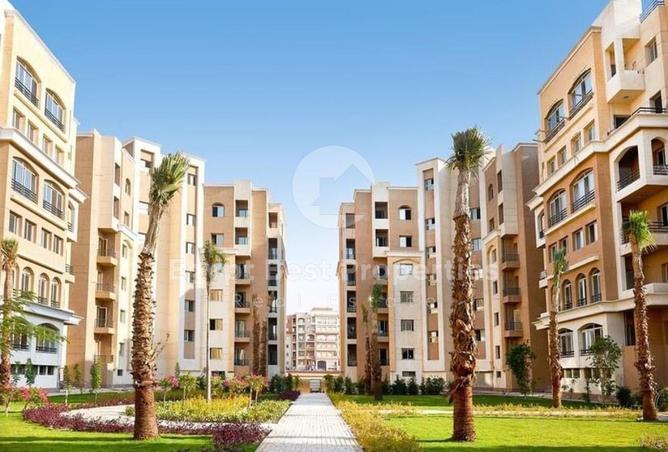 8427898 - Property Image 3