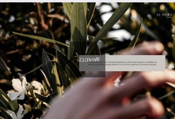 8458394 - صورة العقار 3