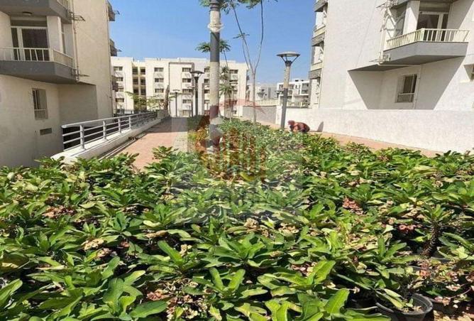 7949835 - صورة العقار 2