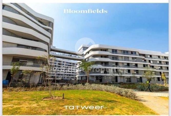 8559872 - Property Image 3