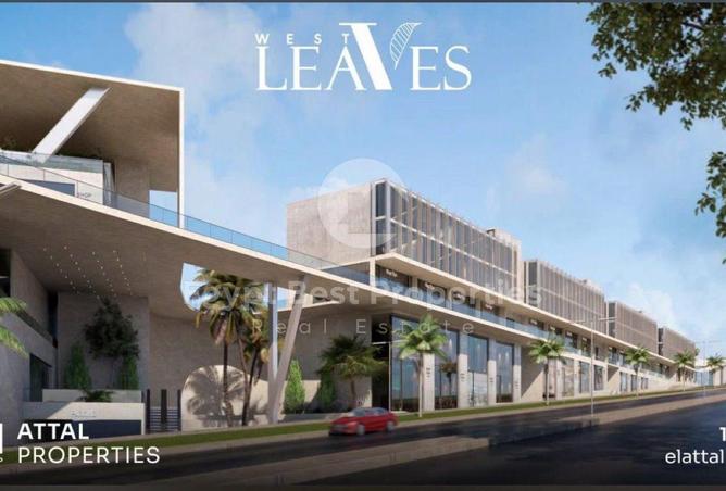 8164168 - صورة العقار 3