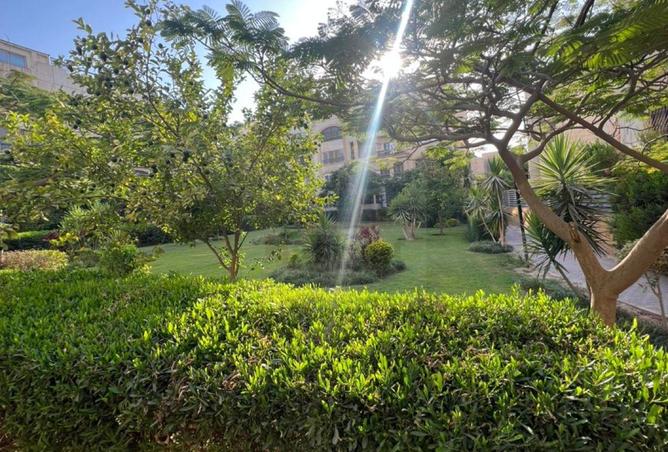 7894600 - Property Image 2