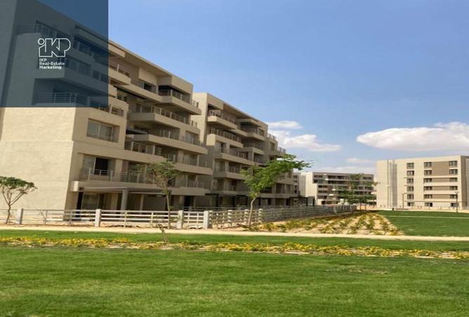 8215551 - Property Image 3