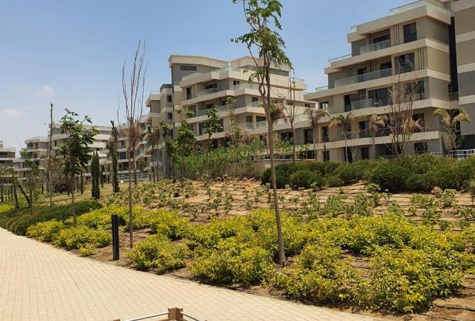 8497503 - صورة العقار 2