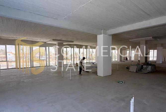 8454305 - Property Image 3