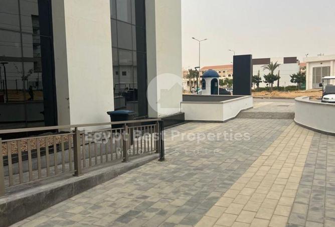 8566391 - Property Image 3