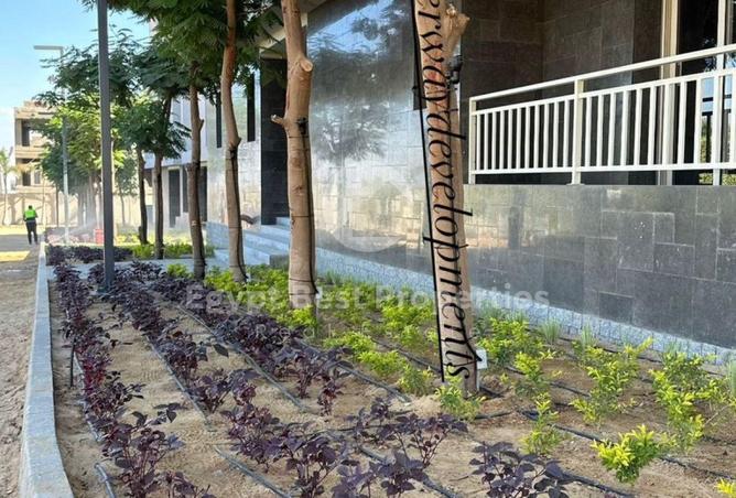 8503586 - Property Image 2