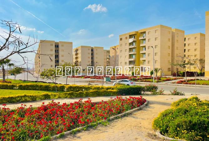8054502 - الصورة الرئيسية للعقار