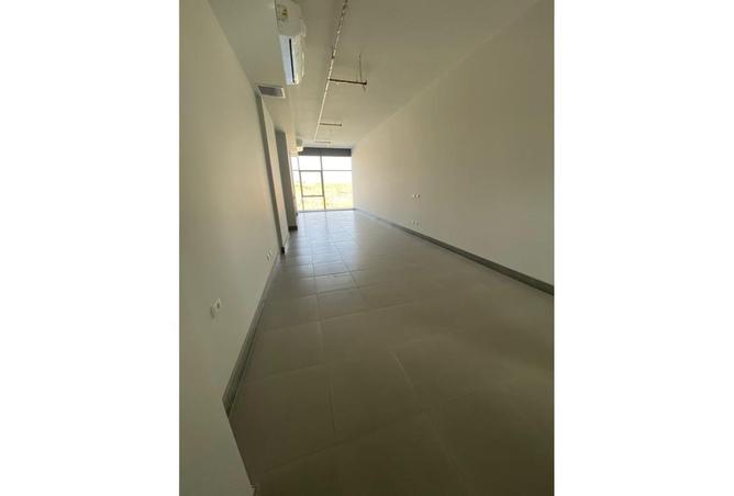 8075089 - Property Image 2