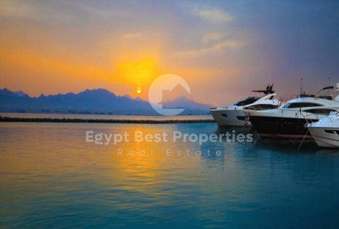 8462504 - Property Image 3