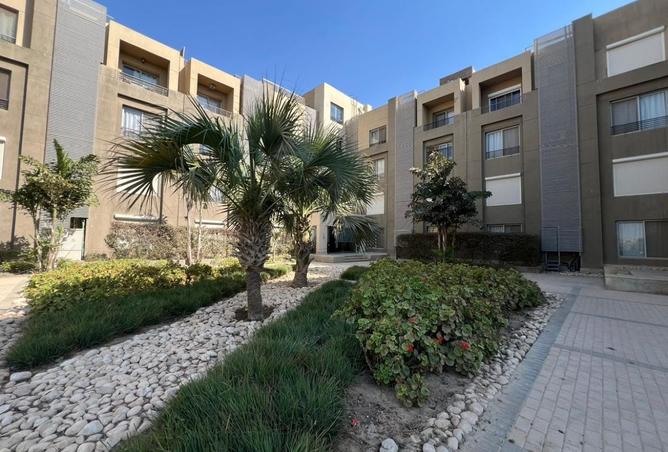 8131095 - Property Image 3