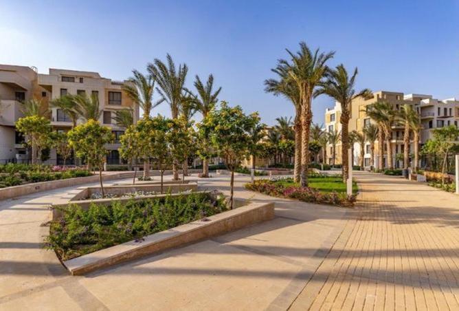 8278125 - Property Image 3