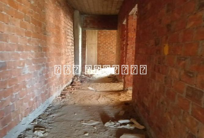 8114258 - صورة العقار 3