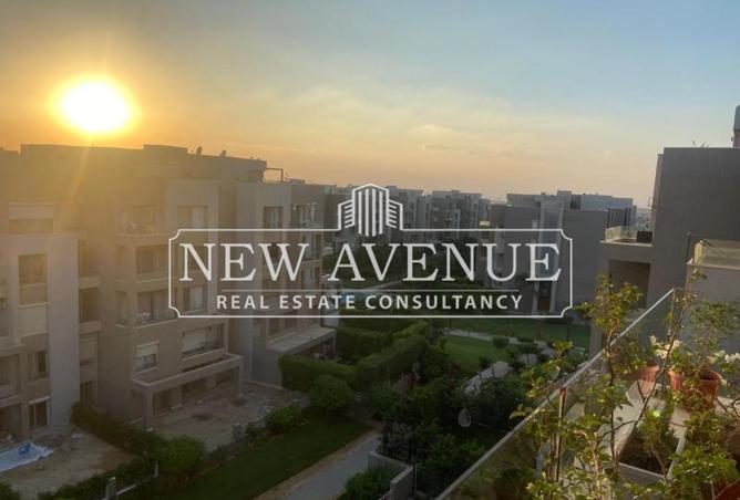 8243898 - Property Main Image