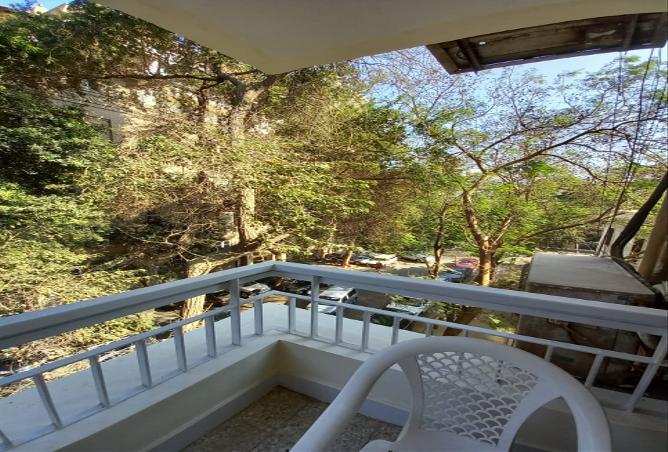 7979388 - صورة العقار 3