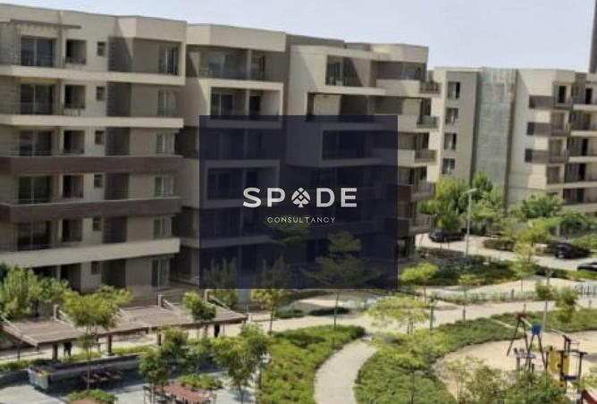 8375634 - Property Image 3