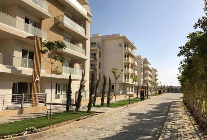 8316501 - Property Image 3