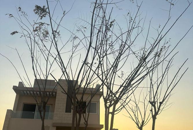 8321509 - صورة العقار 3