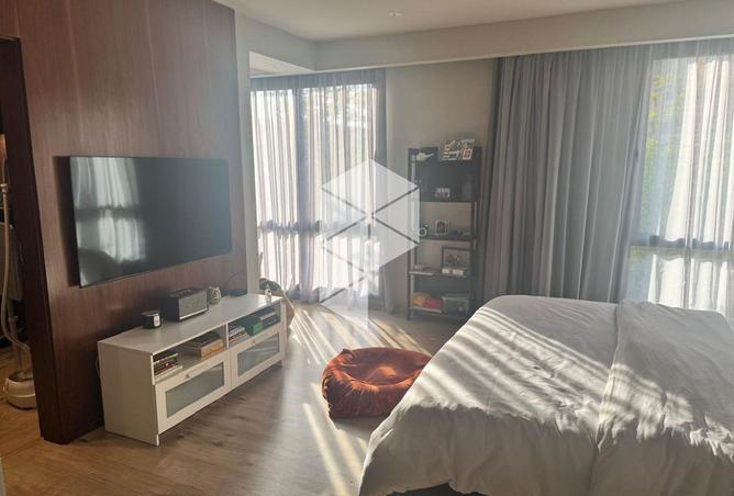 8243333 - Property Image 3