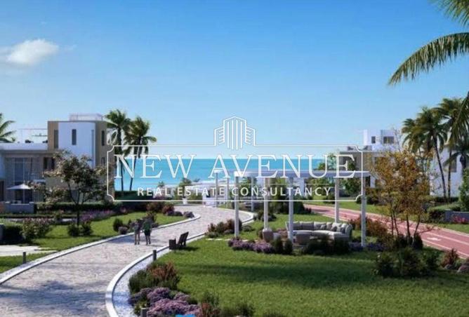 8232728 - Property Image 3