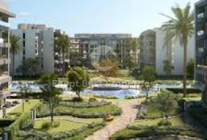 7940432 - Property Image 3