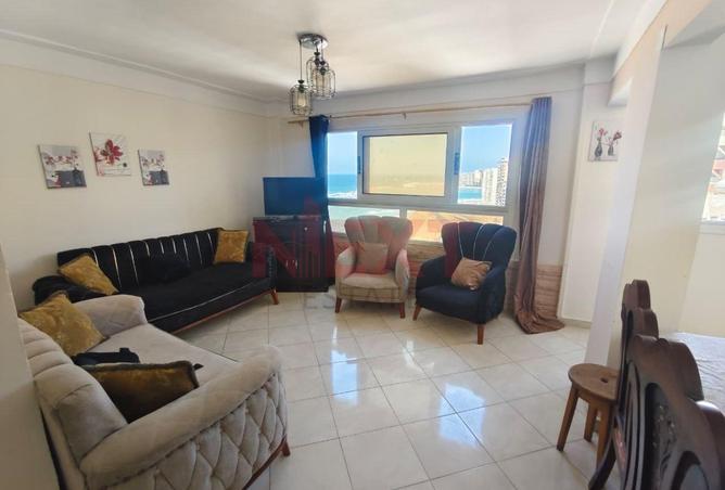 7834736 - Property Image 3