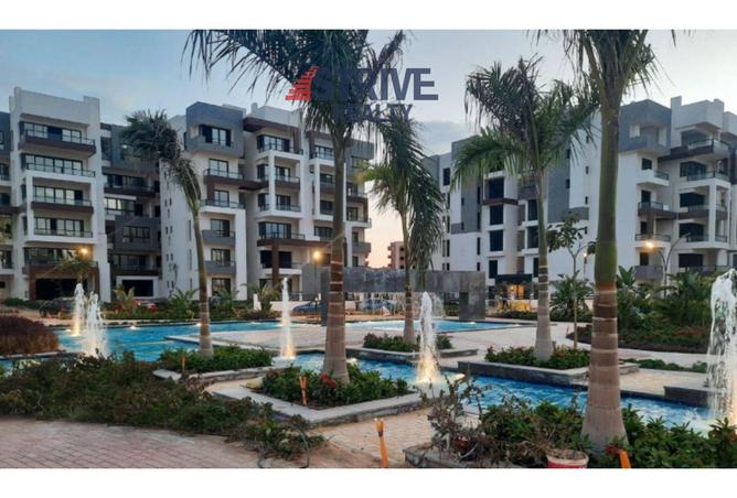 8279433 - Property Image 3