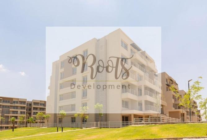 7906477 - Property Image 3