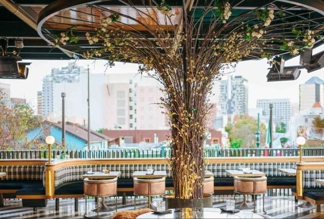 8522013 - صورة العقار 2