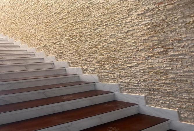 8409895 - صورة العقار 2